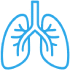 Lungs