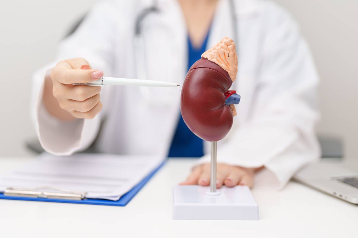 Adrenal Gland